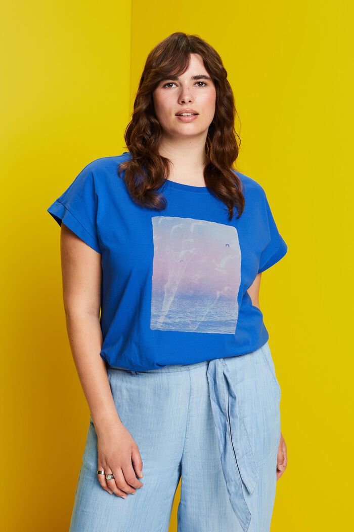 T-shirt CURVY à imprimé sur le devant, 100 % coton, BRIGHT BLUE, detail image number 0