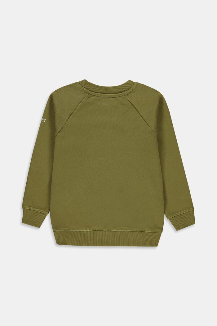 Sweat-shirt basique, 100 % coton, LEAF GREEN, detail image number 1