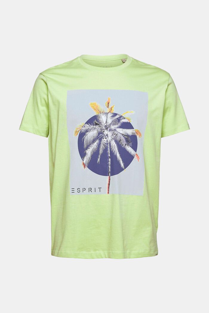 Jersey T-shirt met print, 100% katoen, LIGHT GREEN, detail image number 5