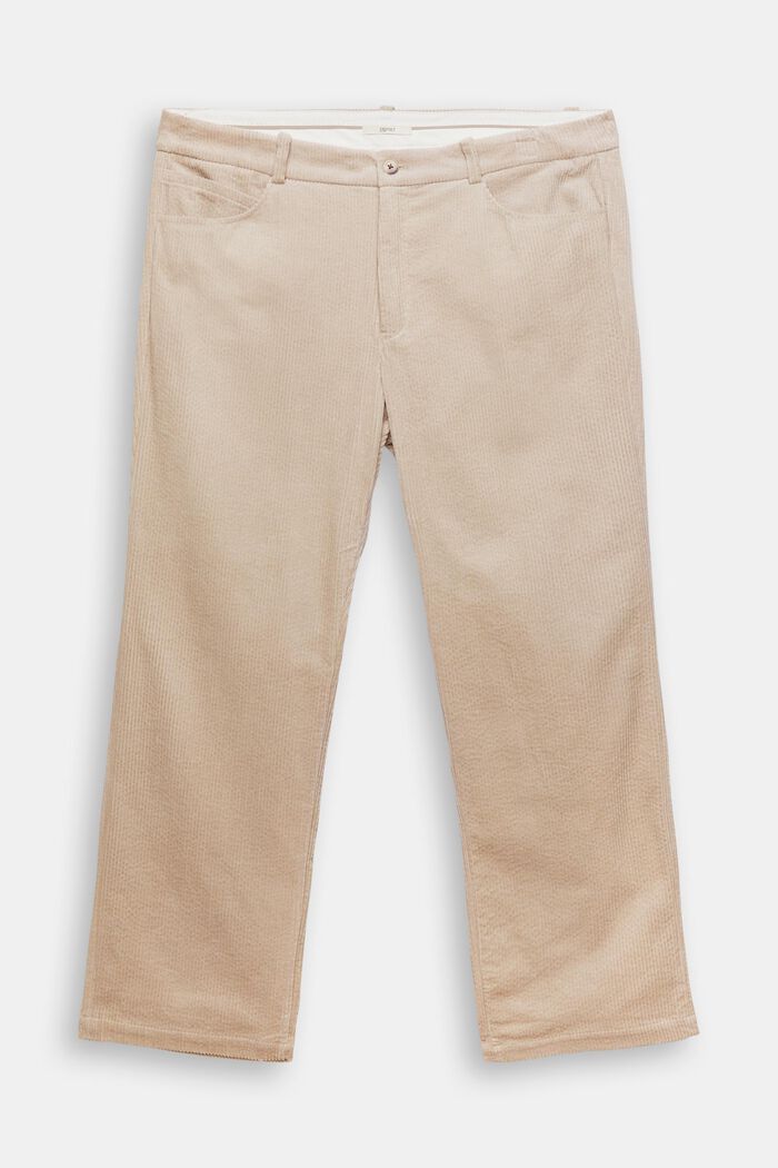 Pantalon CURVY en velours côtelé, 100 % coton, LIGHT TAUPE, overview