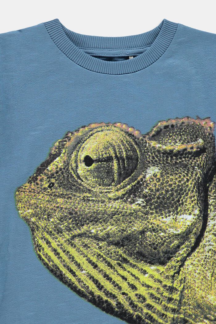 T-shirt met fotoprint, 100% katoen, GREY BLUE, detail image number 2