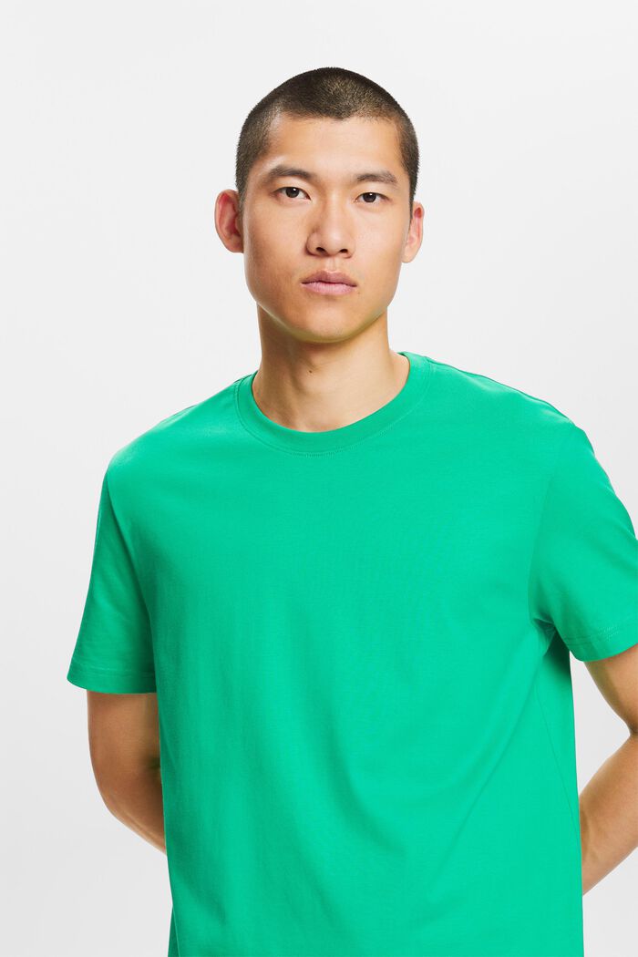 T-shirt van pima katoen-jersey met ronde hals, GREEN, detail image number 4
