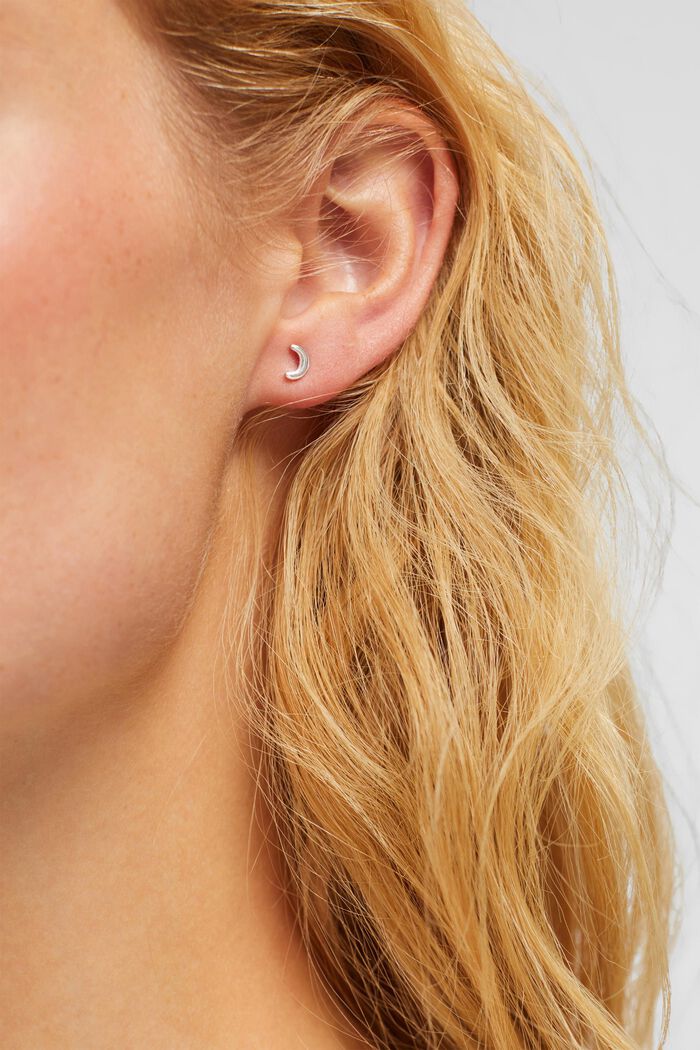 Set van 2 paar oorstekers van sterlingzilver, SILVER, detail image number 2