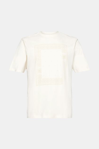 T-shirt en coton de coupe Relaxed Fit à imprimé sur le devant, ICE, overview