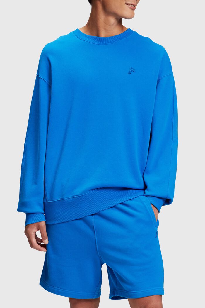 Sweatshirt, BLUE, detail image number 0