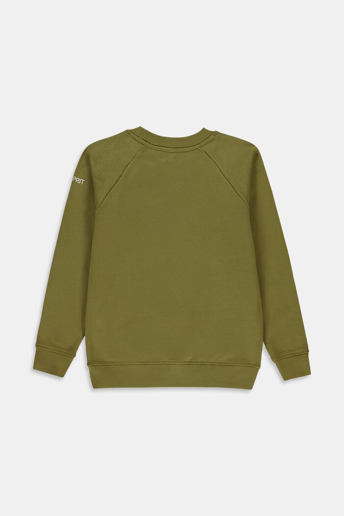 Sweatshirt van 100% katoen, LEAF GREEN, detail image number 1
