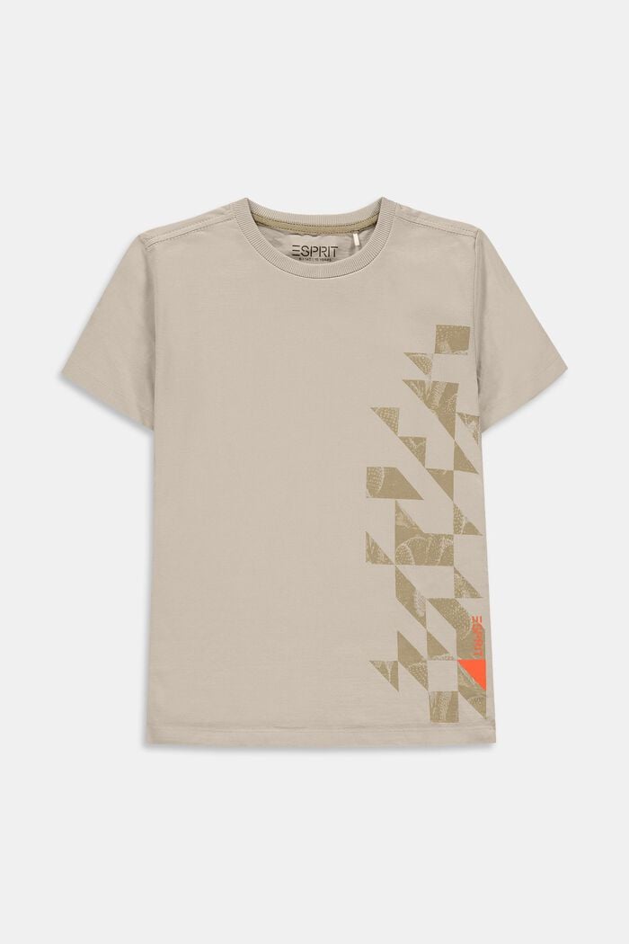 T-shirt met grafische print, 100% katoen, SILVER, detail image number 0