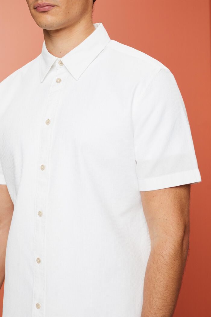 T-shirt à manches courtes, 100 % coton, WHITE, detail image number 2
