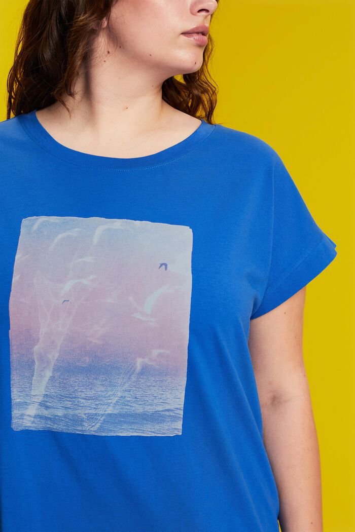 T-shirt CURVY à imprimé sur le devant, 100 % coton, BRIGHT BLUE, detail image number 2