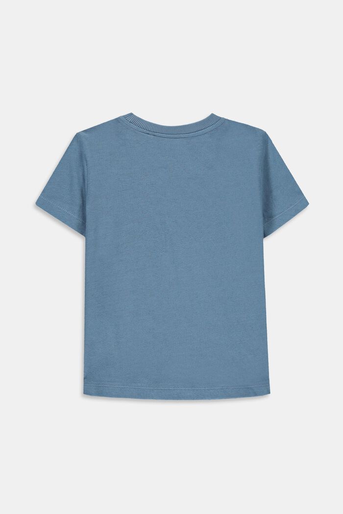 Met linnen: T-shirt met colour block, GREY BLUE, detail image number 1