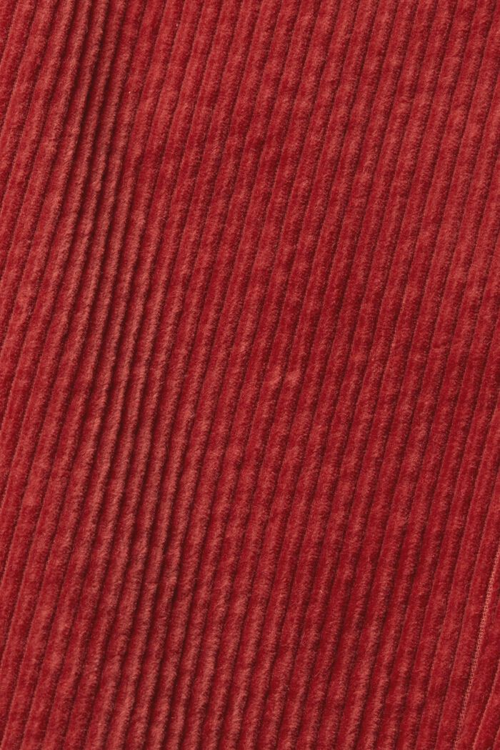Pantalon en velours côtelé de coton, TERRACOTTA, detail image number 6