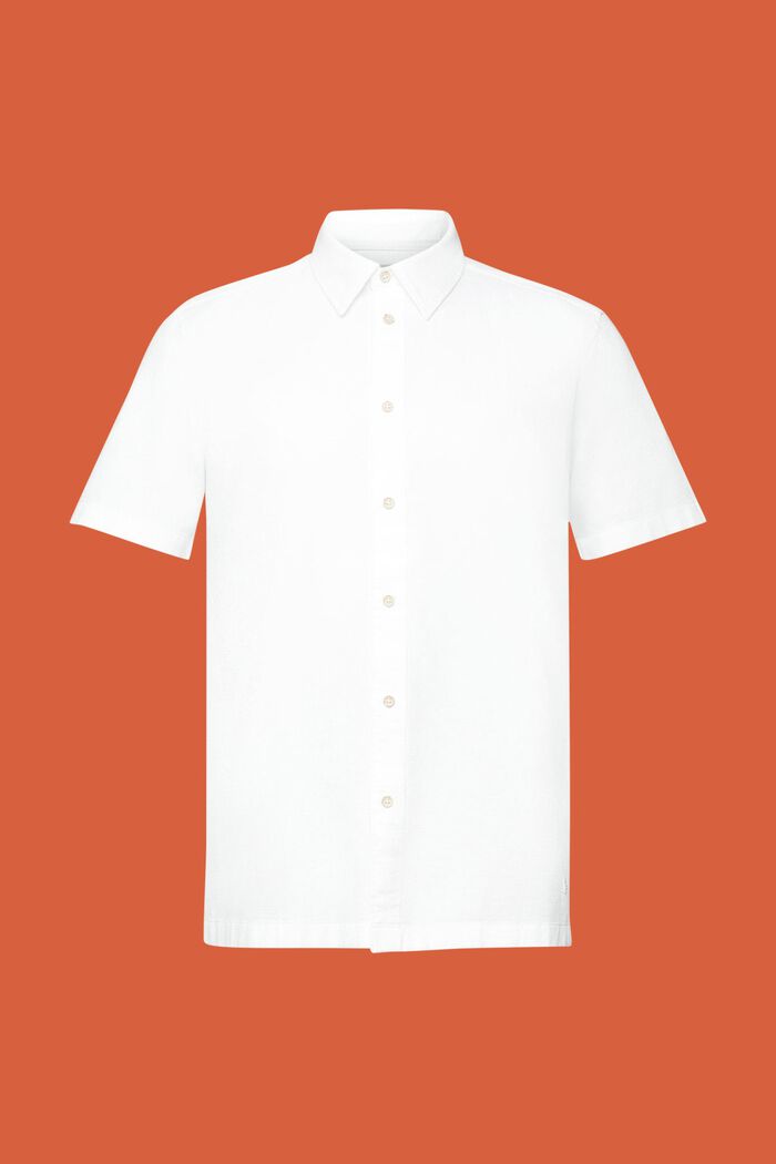 T-shirt à manches courtes, 100 % coton, WHITE, detail image number 6