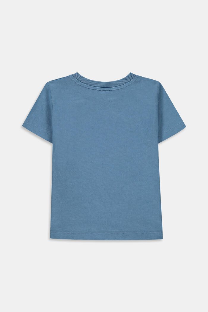 T-shirt met fotoprint, 100% katoen, GREY BLUE, detail image number 1