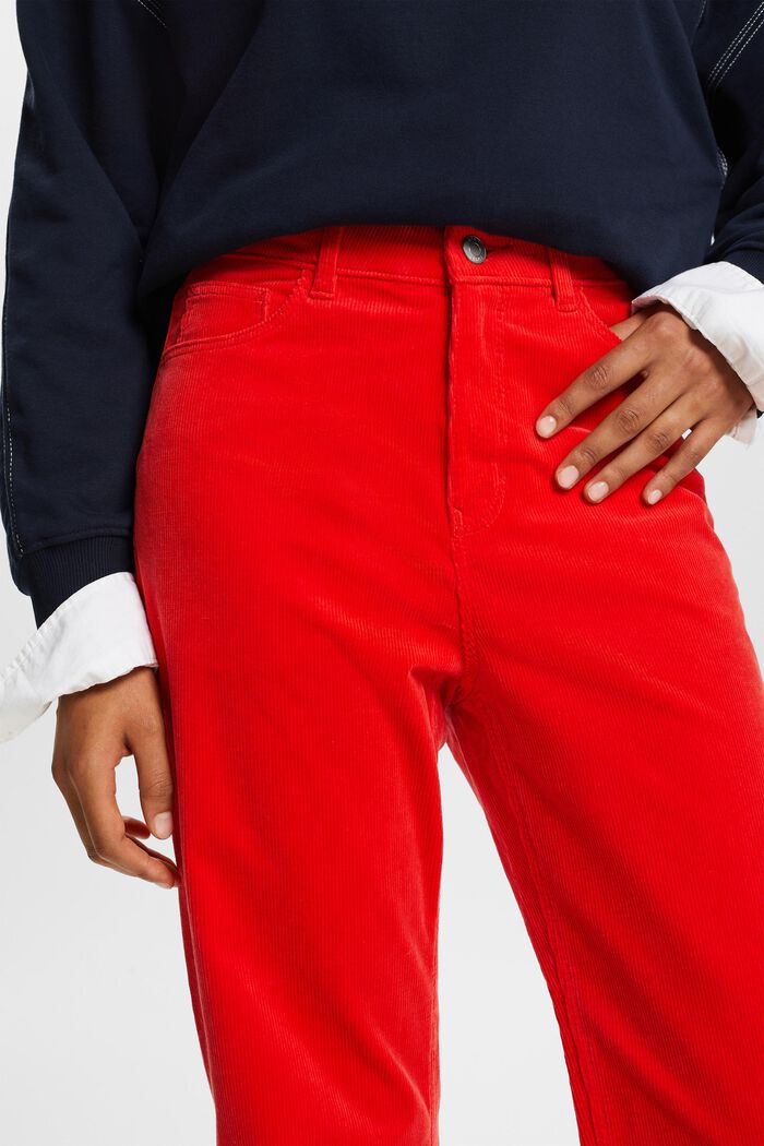 Straight fit corduroy broek met hoge taille, RED, detail image number 2