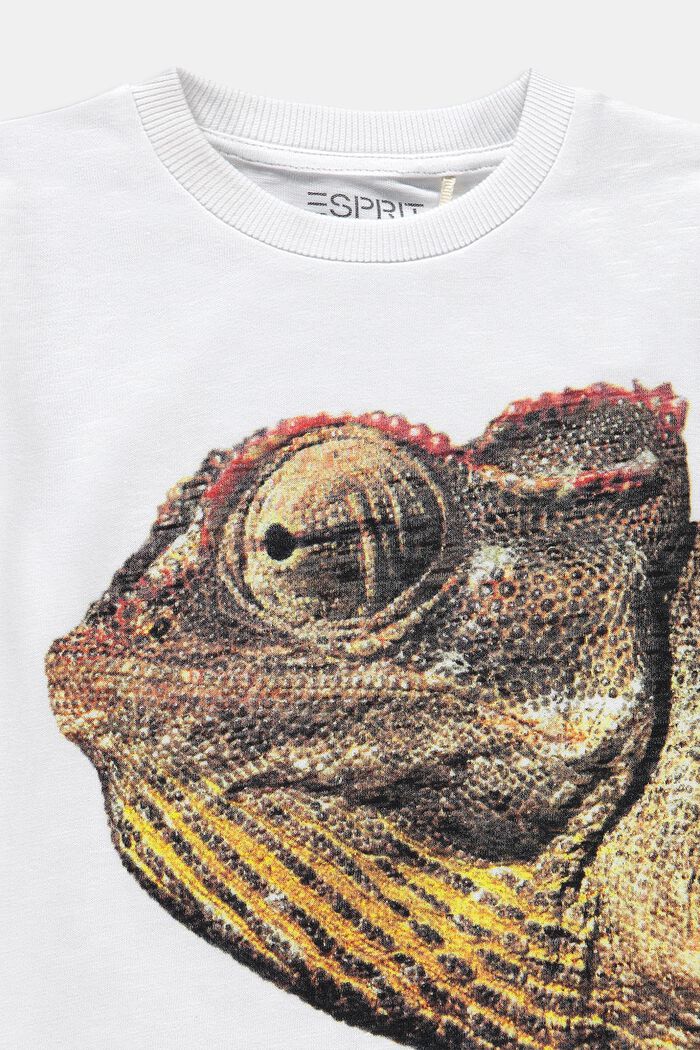 T-shirt à imprimé photo, 100 % coton, WHITE, detail image number 2