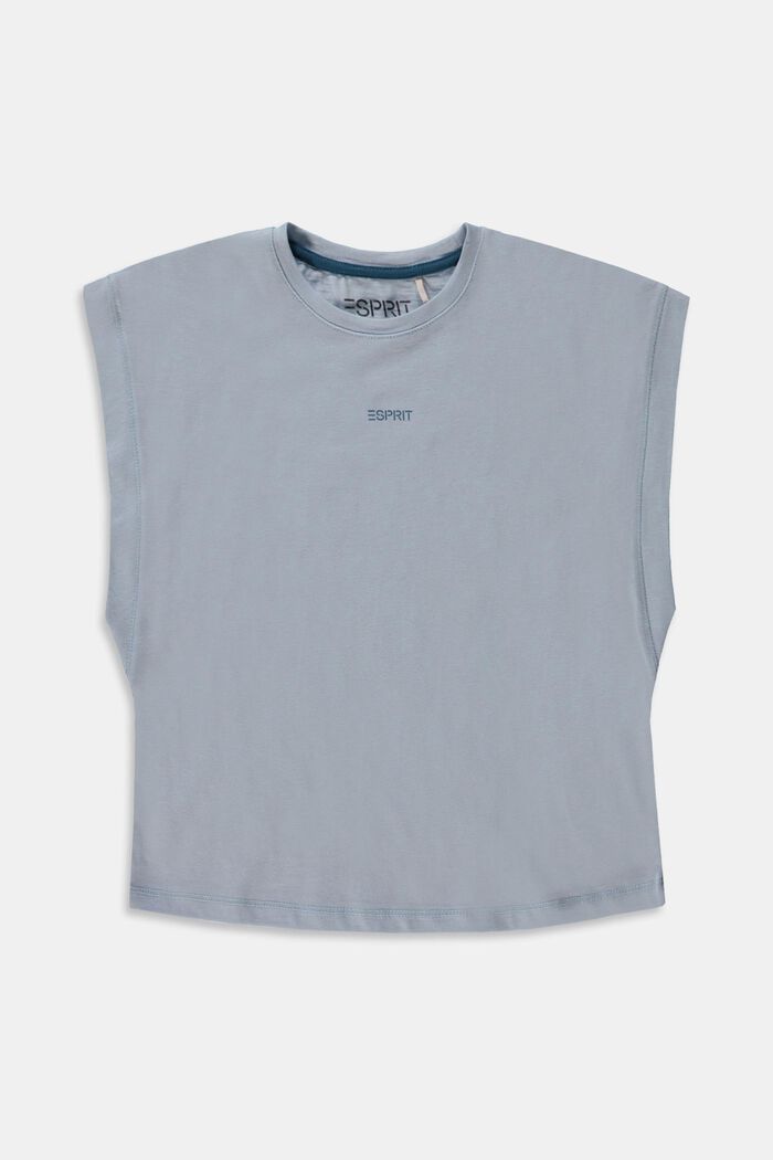 Boxy T-shirt van 100% katoen, PASTEL BLUE, detail image number 0