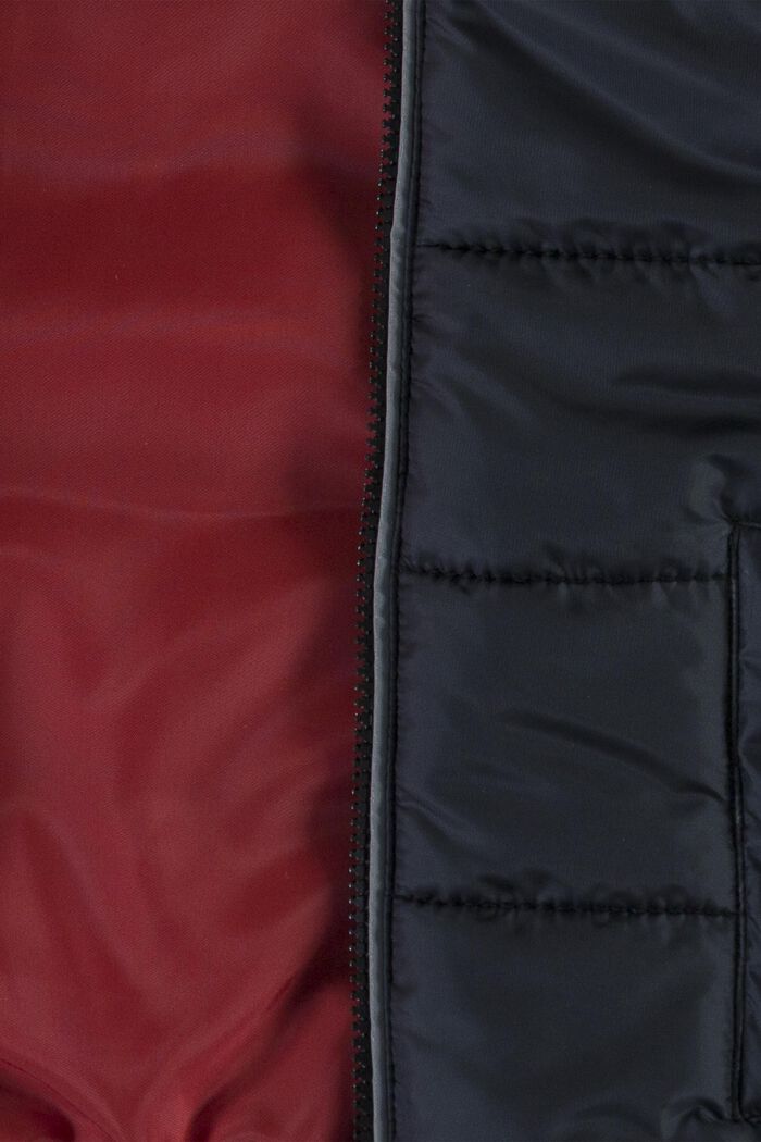 Gewatteerde jas met capuchon, BLACK, detail image number 2