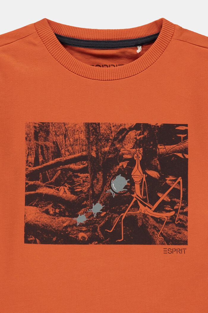 T-shirt met print van 100% katoen, RED ORANGE, detail image number 2