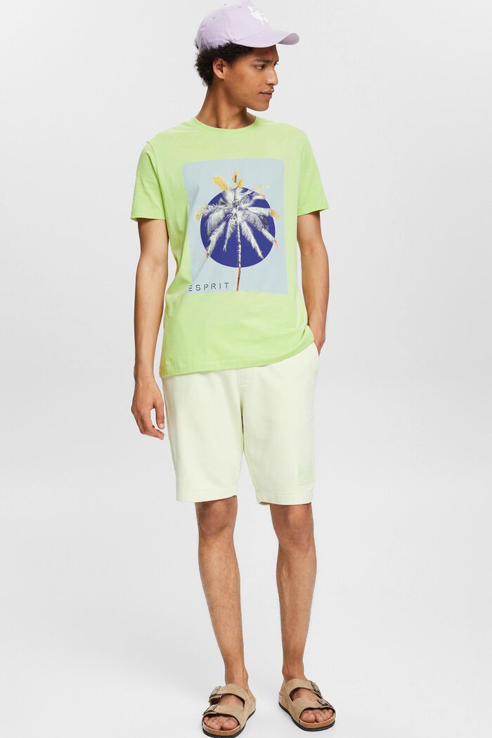 Jersey T-shirt met print, 100% katoen, LIGHT GREEN, detail image number 0
