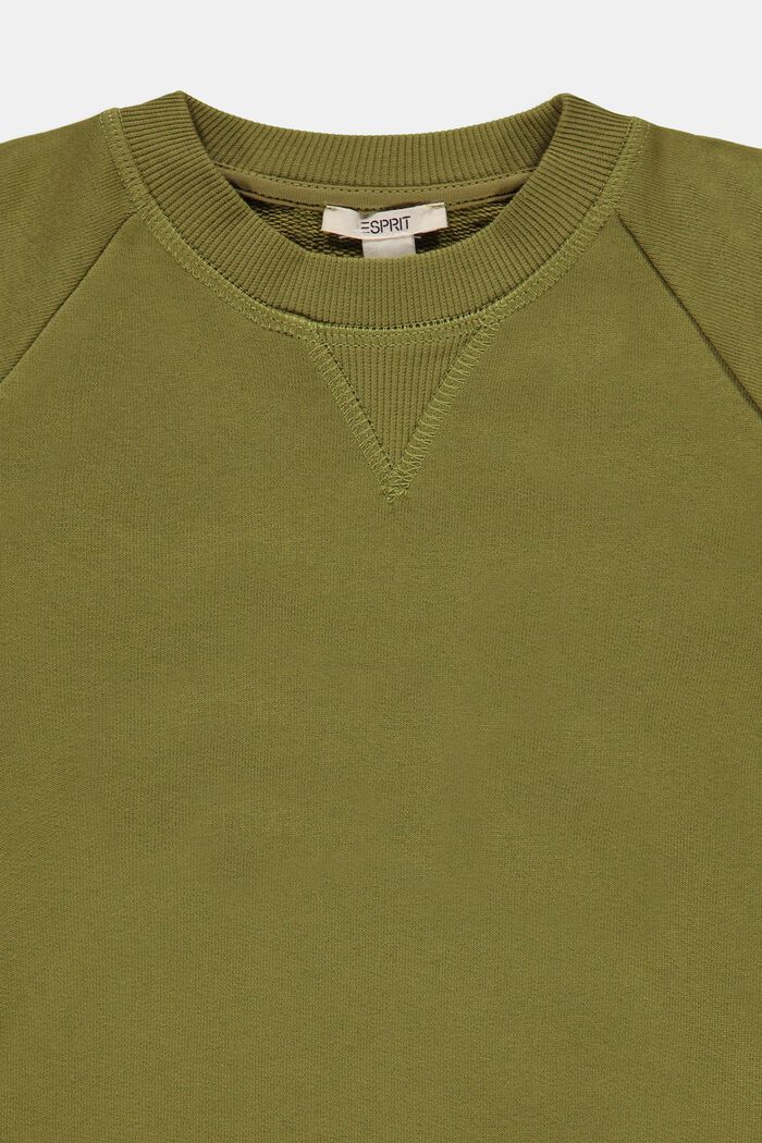 Sweat-shirt basique, 100 % coton, LEAF GREEN, detail image number 2