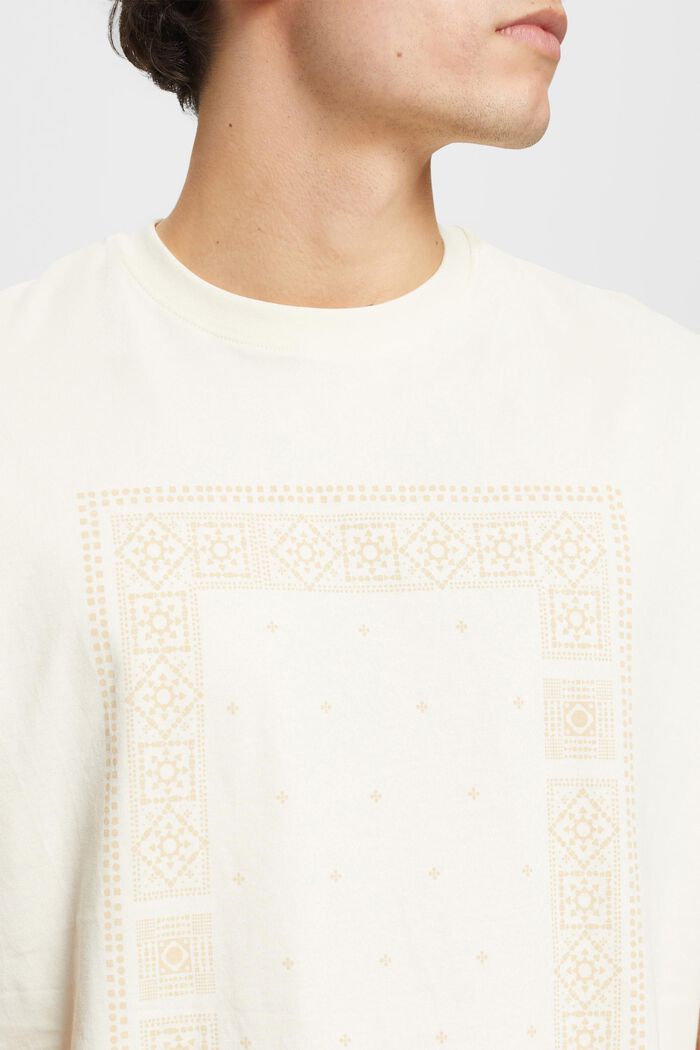 T-shirt en coton de coupe Relaxed Fit à imprimé sur le devant, ICE, detail image number 2